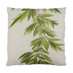 Watercolor Leaves Branch Nature Plant Growing Still Life Botanical Study Standard Cushion Case (one Side)