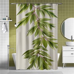 Watercolor Leaves Branch Nature Plant Growing Still Life Botanical Study Shower Curtain 48  X 72  (small) 