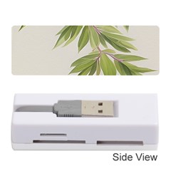 Watercolor Leaves Branch Nature Plant Growing Still Life Botanical Study Memory Card Reader (stick)