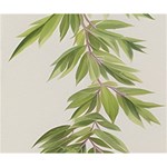 Watercolor Leaves Branch Nature Plant Growing Still Life Botanical Study Deluxe Canvas 14  x 11  (Stretched) 14  x 11  x 1.5  Stretched Canvas