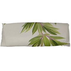 Watercolor Leaves Branch Nature Plant Growing Still Life Botanical Study Body Pillow Case (dakimakura)