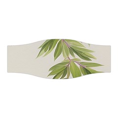 Watercolor Leaves Branch Nature Plant Growing Still Life Botanical Study Stretchable Headband