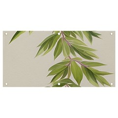 Watercolor Leaves Branch Nature Plant Growing Still Life Botanical Study Banner And Sign 4  X 2  by Posterlux