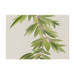 Watercolor Leaves Branch Nature Plant Growing Still Life Botanical Study Crystal Sticker (a4) by Posterlux