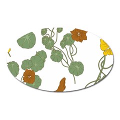 Nasturtium Flowers Plant Leaves Oval Magnet