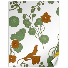 Nasturtium Flowers Plant Leaves Canvas 18  x 24 