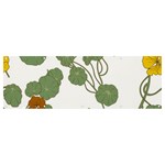 Nasturtium Flowers Plant Leaves Banner and Sign 12  x 4  Front