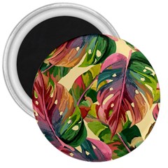 Monstera Colorful Leaves Foliage 3  Magnets by Maspions