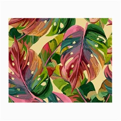 Monstera Colorful Leaves Foliage Small Glasses Cloth by Maspions