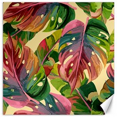 Monstera Colorful Leaves Foliage Canvas 12  X 12 