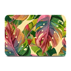 Monstera Colorful Leaves Foliage Plate Mats