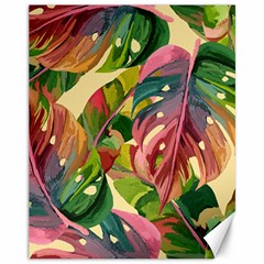 Monstera Colorful Leaves Foliage Canvas 11  X 14 