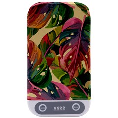 Monstera Colorful Leaves Foliage Sterilizers by Maspions