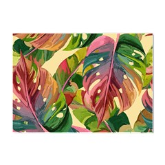 Monstera Colorful Leaves Foliage Crystal Sticker (a4) by Maspions