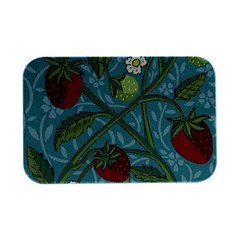 Spring Time Open Lid Metal Box (silver)   by AlexandrouPrints