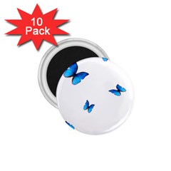 Butterfly-blue-phengaris 1.75  Magnets (10 pack) 