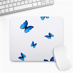 Butterfly-blue-phengaris Large Mousepad