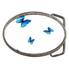 Butterfly-blue-phengaris Belt Buckles by saad11