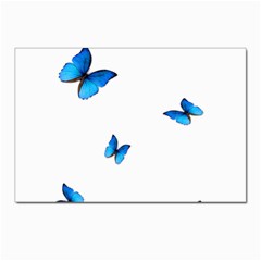 Butterfly-blue-phengaris Postcard 4 x 6  (Pkg of 10)