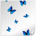 Butterfly-blue-phengaris Canvas 12  x 12  11.4 x11.56  Canvas - 1