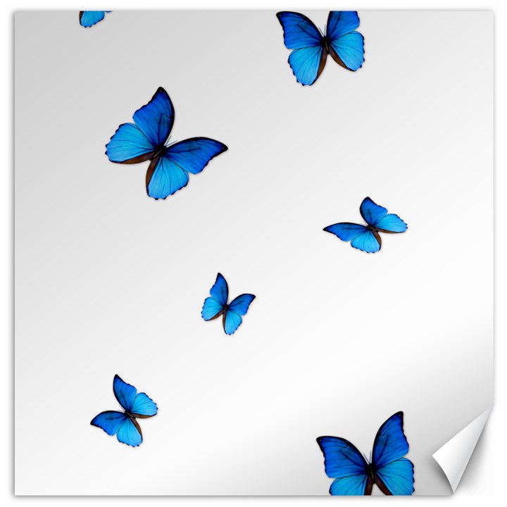 Butterfly-blue-phengaris Canvas 12  x 12 