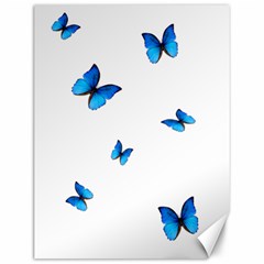 Butterfly-blue-phengaris Canvas 12  x 16 