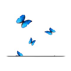 Butterfly-blue-phengaris Plate Mats by saad11