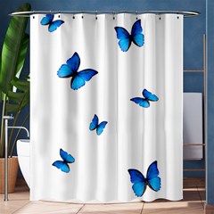 Butterfly-blue-phengaris Shower Curtain 60  x 72  (Medium) 