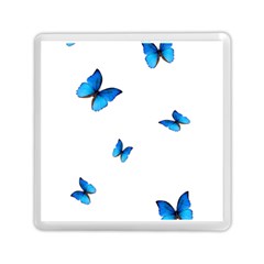 Butterfly-blue-phengaris Memory Card Reader (square) by saad11