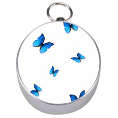 Butterfly-blue-phengaris Silver Compasses