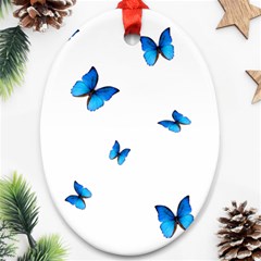 Butterfly-blue-phengaris Ornament (oval)