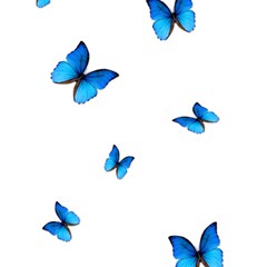 Butterfly-blue-phengaris Play Mat (square) by saad11