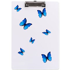 Butterfly-blue-phengaris A4 Acrylic Clipboard