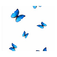 Butterfly-blue-phengaris Premium Plush Fleece Blanket (Small)