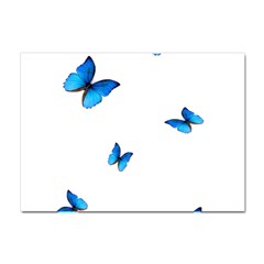 Butterfly-blue-phengaris Crystal Sticker (A4)