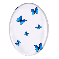 Butterfly-blue-phengaris Oval Glass Fridge Magnet (4 pack)