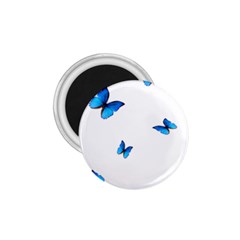 Butterfly-blue-phengaris 1 75  Magnets by saad11