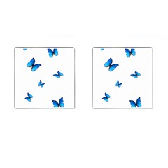 Butterfly-blue-phengaris Cufflinks (square) by saad11