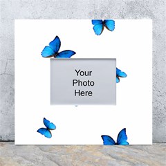 Butterfly-blue-phengaris White Wall Photo Frame 5  X 7  by saad11