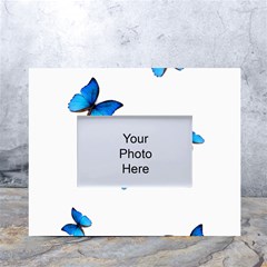 Butterfly-blue-phengaris White Tabletop Photo Frame 4 x6  by saad11