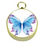 Butterfly-drawing-art-fairytale  Gold Compasses Front