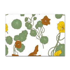 Nasturtium Flower Plant Leaves Sticker A4 (100 pack)