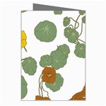 Nasturtium Flower Plant Leaves Greeting Cards (Pkg of 8) Right