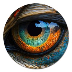 Eye Bird Feathers Vibrant Magnet 5  (round) by Hannah976