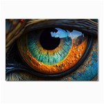 Eye Bird Feathers Vibrant Postcards 5  x 7  (Pkg of 10) Front