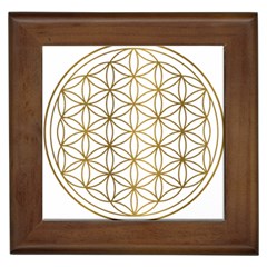 Gold Flower Of Life Sacred Geometry Framed Tile