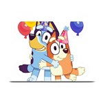 Bluey birthday Plate Mats 18 x12  Plate Mat