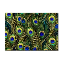 Peacock Pattern Sticker A4 (10 pack)