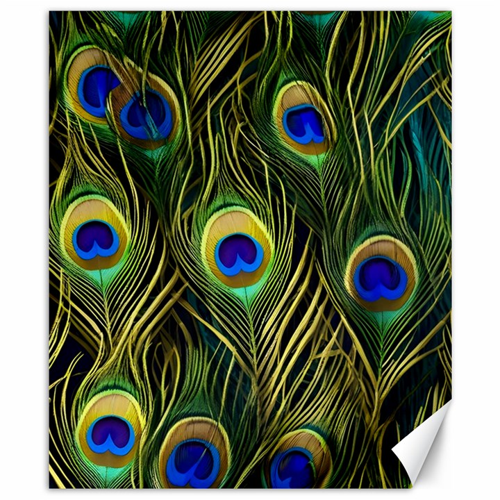 Peacock Pattern Canvas 8  x 10 