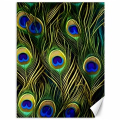 Peacock Pattern Canvas 36  x 48 